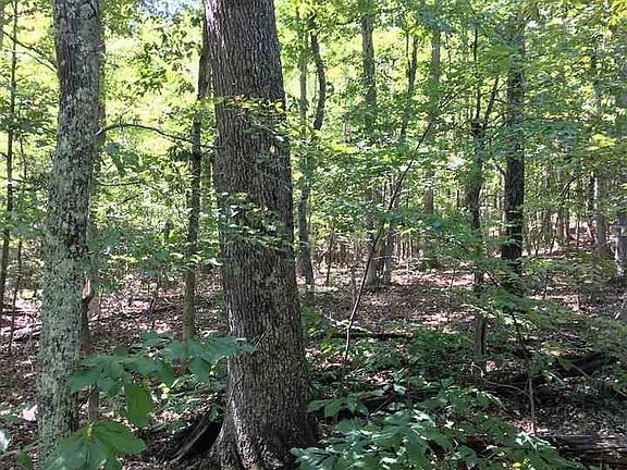 3rd image of Tbd Sallings Mountain Rd