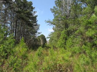 334 Biddle Rd, Sumter, SC 29153