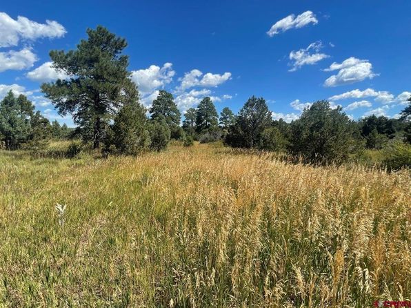 Mancos CO Real Estate - Mancos CO Homes For Sale | Zillow