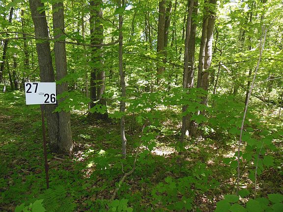 2nd image of 26 Rodgers Rd