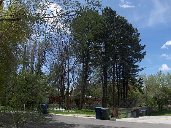 Front View
