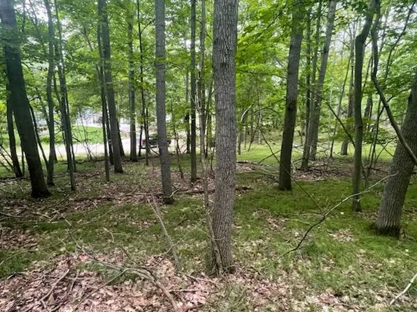 11280 Apache Wells Ct, Stanwood, MI 49346