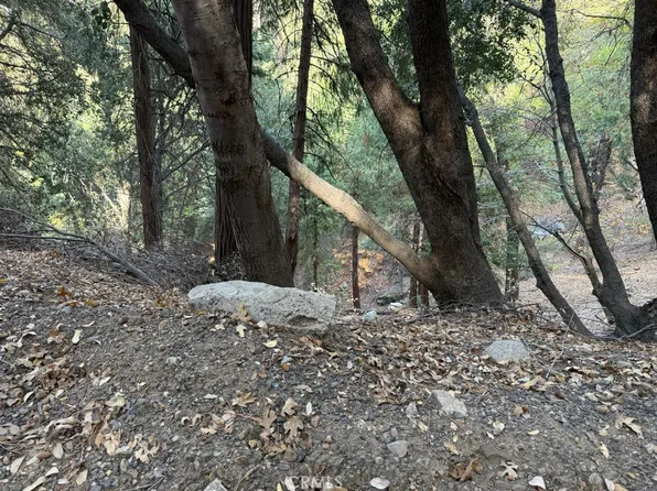 0 Mojave River Rd #20, Cedarpines Park, CA 92322