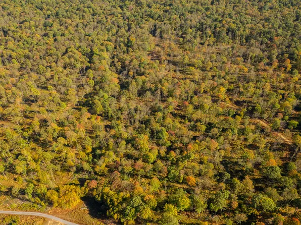 7A Gobbler Ridge Rd, Sigel, PA 15860