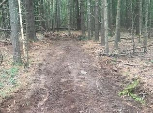 Lakeview Drive Rd, Highland lake, NY 12743