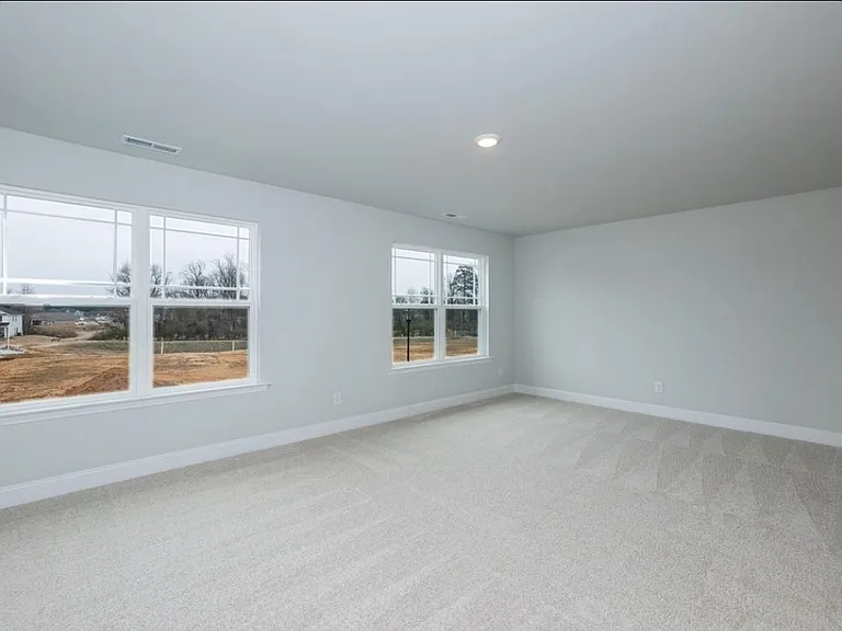 316 Hopewell Branch Ct — Photo 12