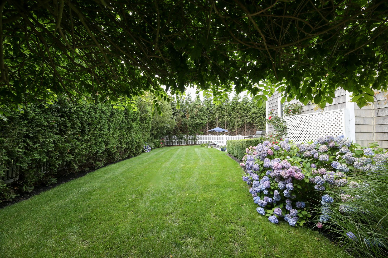  Meticulous Landscape