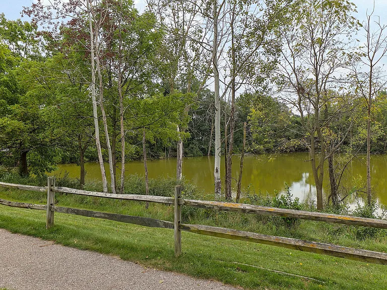 Pond