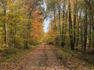 0 Rumur Ln, Pierson, MI 49339