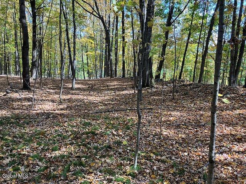 5th image of L5 Burden Lake Road