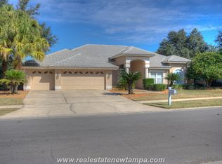15828 Dawson Ridge Dr, Tampa, FL 33647