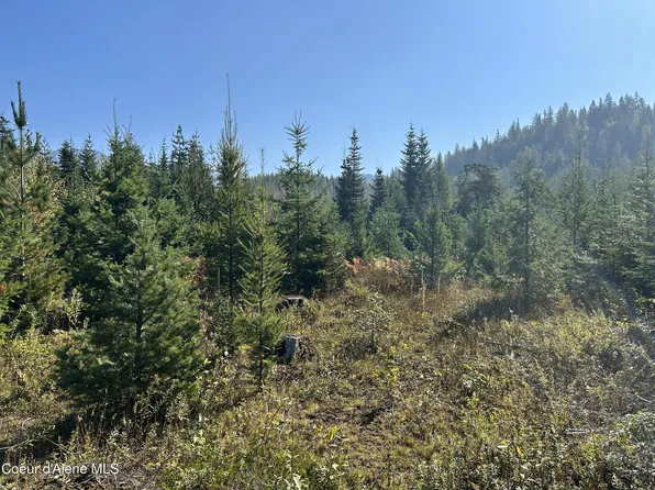 TRACT 3 Usfs Rd #2294, Clark Fork, ID 83811
