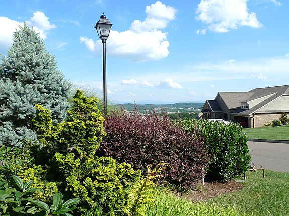 Mountain View From Front 