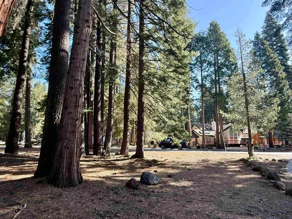 731 Conifer Trl, Westwood, CA 96137