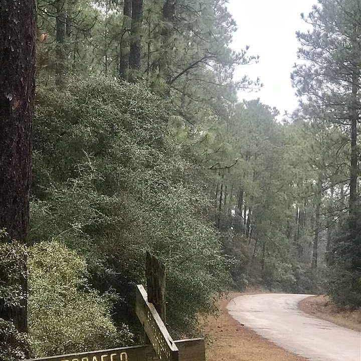 2nd image of Tobacco Rd