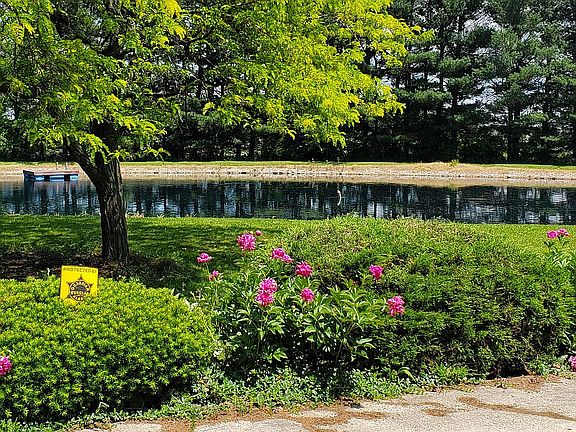 Pond with mature trees