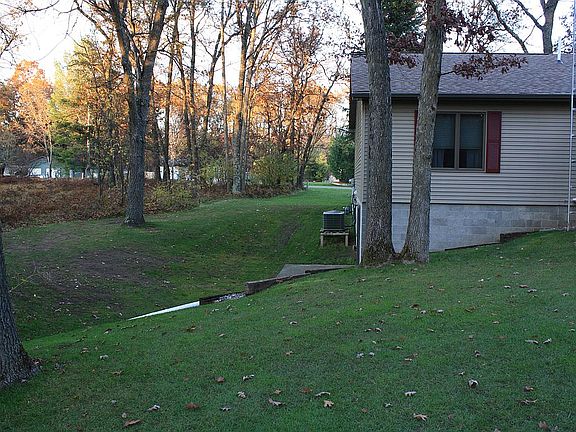 Back yard 