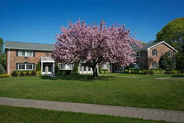 Fairfield Centereach Gardens — Photo 18