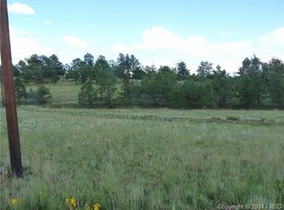 11 Warrior Cir, Florissant, CO 80816