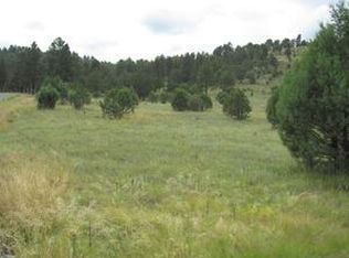 134 Deer Valley Dr, Alto, NM 88312