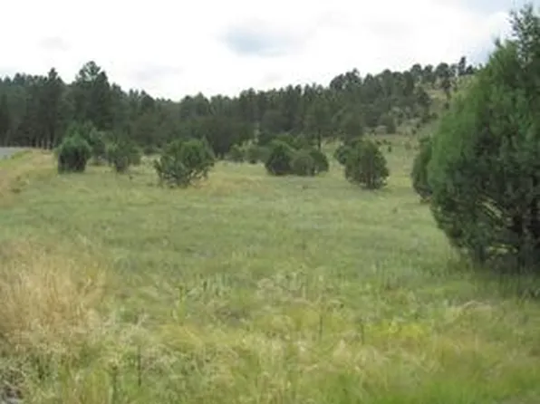 134 Deer Valley Dr, Alto, NM 88312