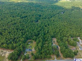 Friendfield Rd, Effingham, SC 29541