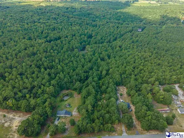 Friendfield Rd, Effingham, SC 29541