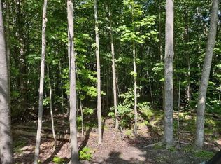 2668 Coopdeville Ln, Grayling, MI 49738