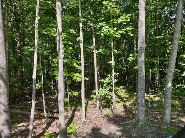 2668 Coopdeville Ln, Grayling, MI 49738