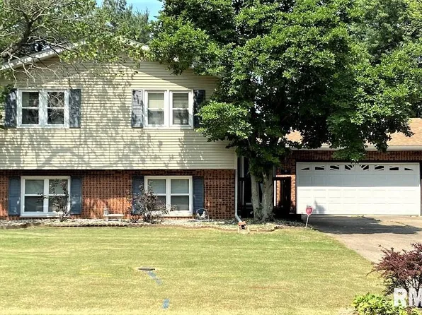 12 Holiday Ln, Riverton, IL 62561