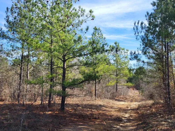 Mount Calvary Rd, Trenton, SC 29847