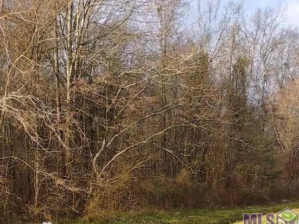 51 A&b El Scott Ave, Baton Rouge, LA 70811