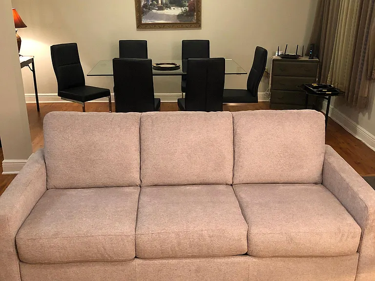 new queen sofa bed in living room