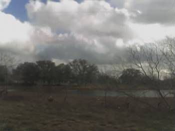 4th image of 2387 Highway 304