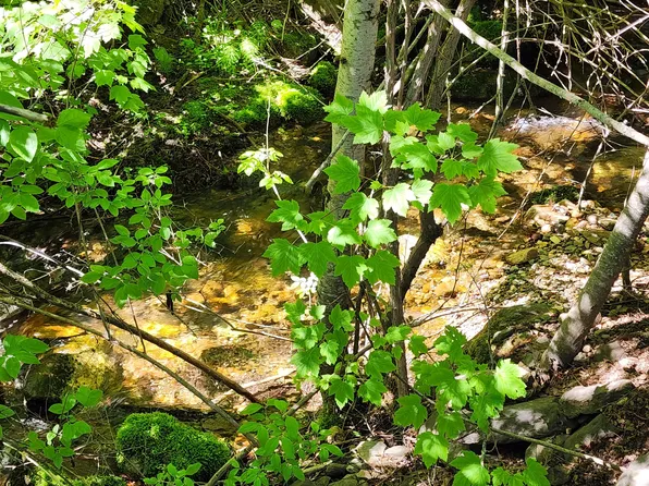 5XX Monumental Rd, Colville, WA 99114