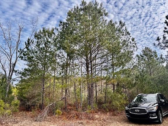 5th image of 27557 Ealum Mill Rd