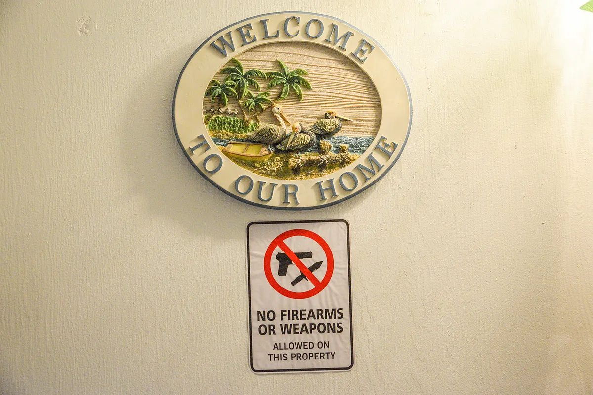 Welcome to our Home. NO Firearms/Weapons on the property - 43 Clove Ave #2