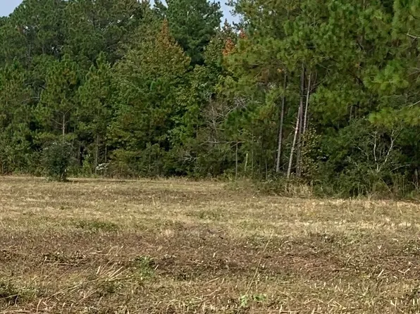 782 SW Sisters Welcome Rd, Lake City, FL 32025