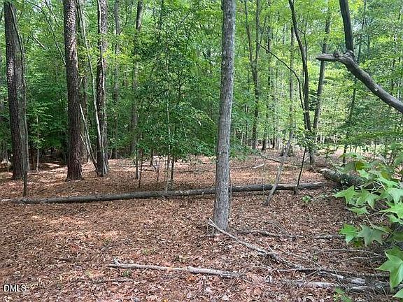 5th image of 190 Buckaroo Dr Lot 1970