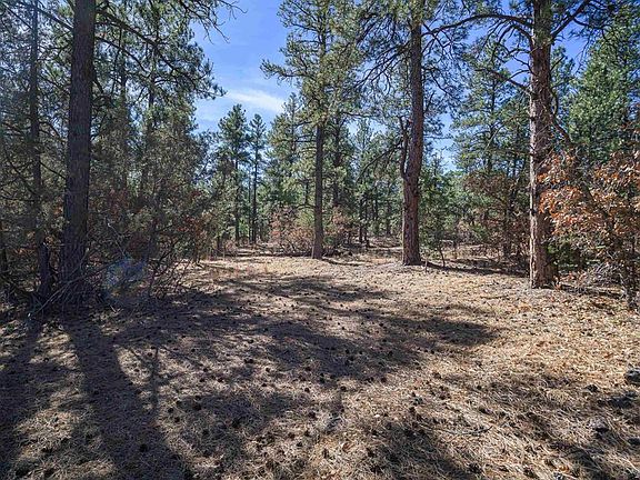 3rd image of 17990 Kings Road