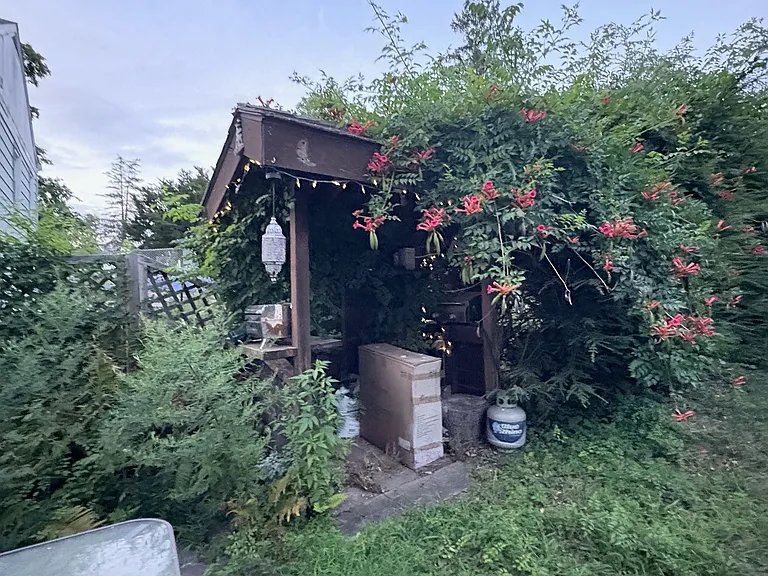 BBQ Tiki Hut in Shared Backyard