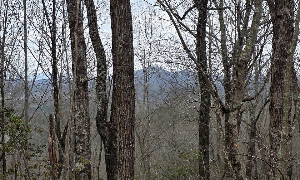 1st image of 35AC Ducks Nest Rd