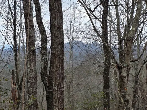 35AC Ducks Nest Rd, Turtletown, TN 37391