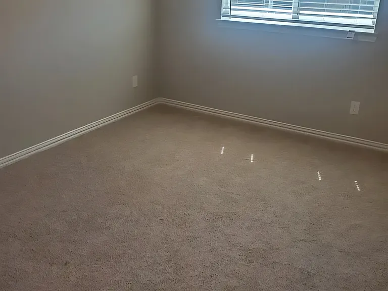 2909 Bluets Dr — Photo 10