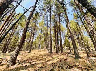 15 Knollwood Way, Angel Fire, NM 87710