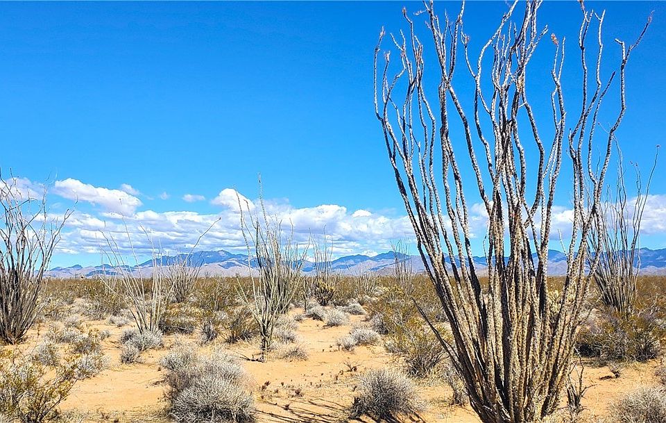1st image of TBD W Brittlebush Drive
