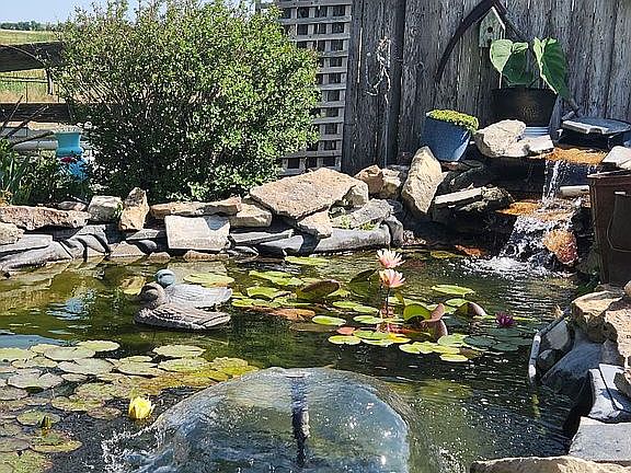 POND