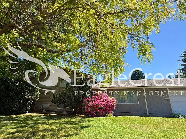 924 Shasta Dr — Photo 4