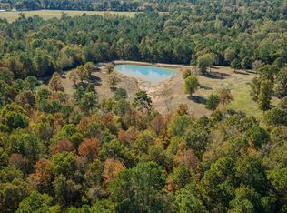 12806 Wood Rd, Diana, TX 75640