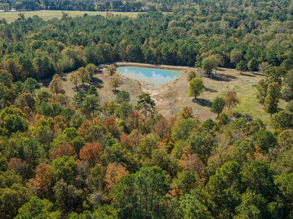 12806 Wood Rd, Diana, TX 75640